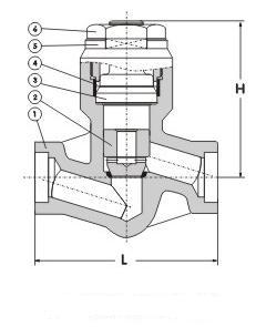 Forged Steel Pressure Seal Check Valve supplier