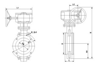 Double Eccentric Butterfly Valve