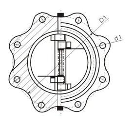 Integrated Lug Type Double-disc Swing Check Valve supplier