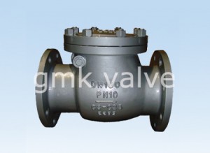 DIN Swing Check Valve