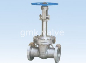 Cryogenic Gate Valve