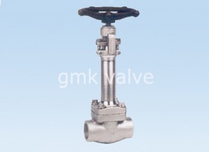 Low price for Brass Safety Vavle -
 Forged Steel Cryogenic Globe Valve – GMK Valve