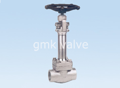 Trending Products Manufacture Globe Valve Dn40 -
 Forged Steel Cryogenic Globe Valve – GMK Valve