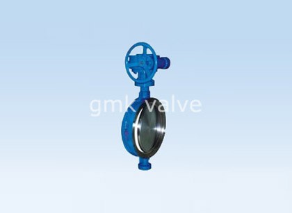 Double Eccentric Butterfly Valve