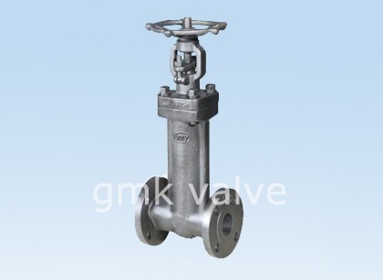 Factory Price Brass Compressed Ball Valve -
 Forged Steel Bellows Seal Gate Valve – GMK Valve