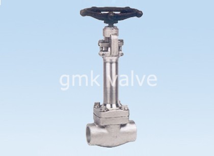 New Delivery for Y Strainer Check Valve -
 Forged Steel Cryogenic Globe Valve – GMK Valve