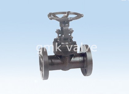 Forged Steel Flange Gate Valve