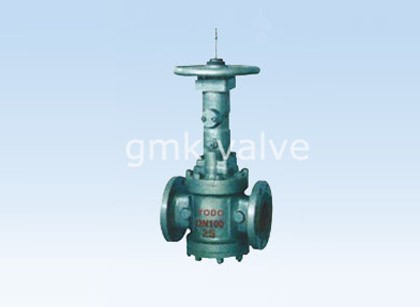 Orbit Plug Valve