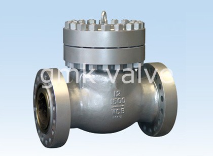 Swing Check Valve